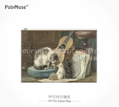 PP文件拉鏈袋