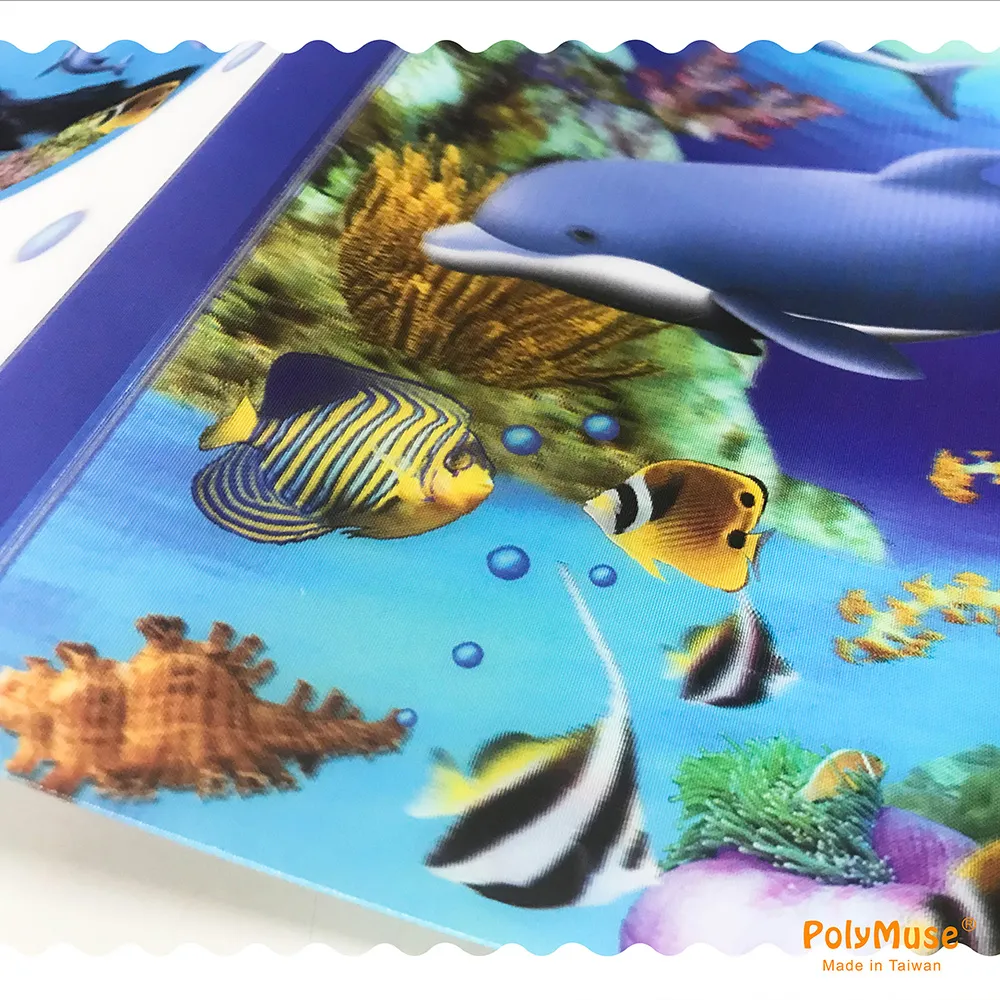 海洋風海豚 4×6 吋相本