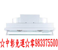 櫻花牌抽油煙機DR3590L☆0983375500