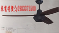 0983375500 台製古典藝術吊扇52” 平光